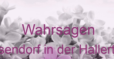 Wahrsagen Elsendorf in der Hallertau | Top-Experten für Kartenlegen, Wahrsagen, Hellsehen, Zukunftsdeutung. Wahrsagen Elsendorf in der Hallertau | Top-Experten für Kartenlegen, Wahrsagen, Hellsehen, Zukunftsdeutung.